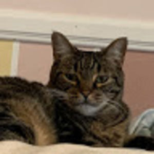 Meet your Posher, Jasmine